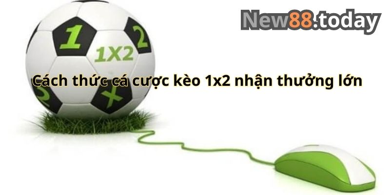 Cách thức cá cược 1x2 nhận thưởng lớn