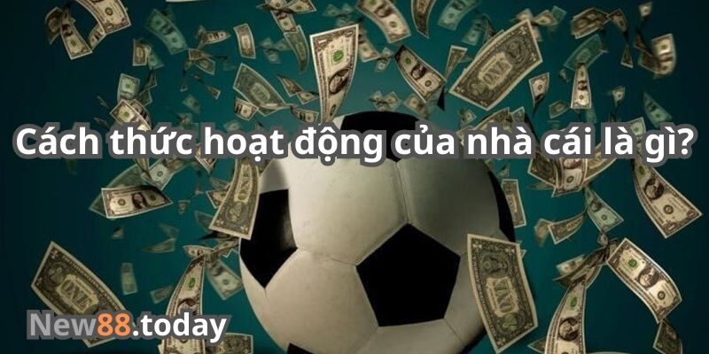 Cách thức hoạt động của nhà cái là gì? Cách thức hoạt động của nhà cái là gì?